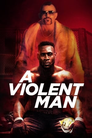 A Violent Man 2017 Hindi Dual Audio 720p WebRip [960MB] - Movierulz