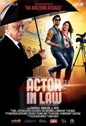 Actor in Law (2016) Movie Pakistani HDRip 480p [700MB] Download - Movierulz