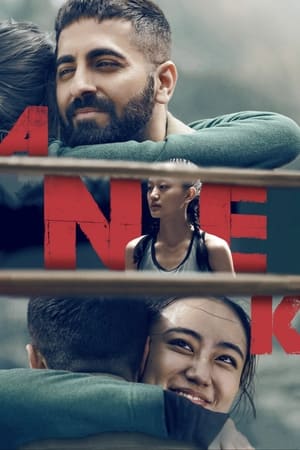 Anek 2022 Hindi Movie HDRip 720p – 480p - Movierulz