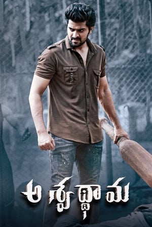 Aswathama 2020 (Hindi – Telugu) Dual Audio 720p UnCut HDRip [960MB] - Movierulz