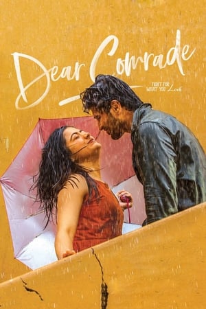Dear Comrade 2019 (Hindi -Telugu) Dual Audio 720p UnCut HDRip [1.4GB] - Movierulz