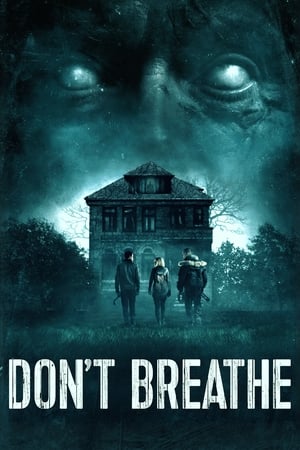 Don't Breathe (2016) Hindi Dual Audio 480p BluRay 300MB - Movierulz