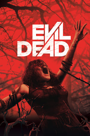 Evil Dead 2013 Hindi Dual Audio 720p BluRay [760MB] - Movierulz