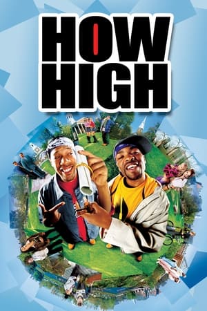 How High (2001) Hindi Dual Audio 720p WebRip [800MB] - Movierulz