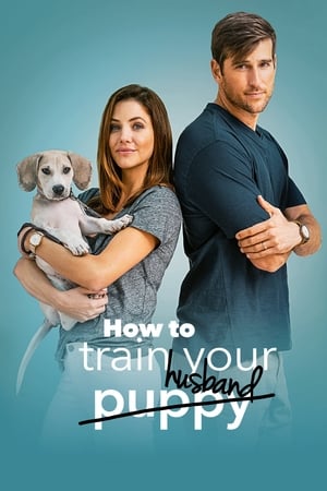 How to Train Your Husband 2018 Hindi Dual Audio 720p BluRay [1GB] - Movierulz