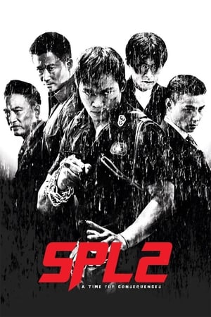 Kill Zone 2 (2015) Hindi Dual Audio 720p BluRay [1.5GB] ESubs - Movierulz