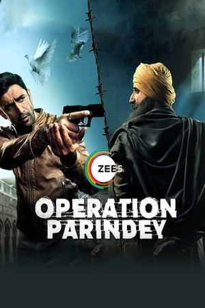 Operation Parindey 2020 Hindi Movie 720p HDRip x264 [500MB] - Movierulz