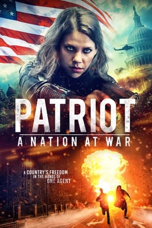 Patriot A Nation at War 2020 Hindi Dual Audio 480p Web-DL 300MB - Movierulz