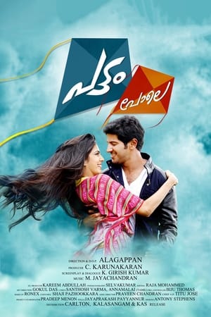 Pattam Pole (2013) (Hindi – Malayalam) Dual Audio 720p UnCut HDRip [1.2GB] - Movierulz