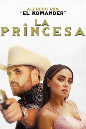 Prince 2022 Hindi (HQ Dubbed) Movie Pre-DVDRip 720p – 480p - Movierulz