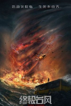 Super Typhoon 2020 Hindi Dual Audio HDRip 720p – 480p - Movierulz