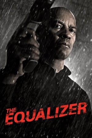 The Equalizer (2014) Hindi Dual Audio BluRay 720p – 480p - Movierulz