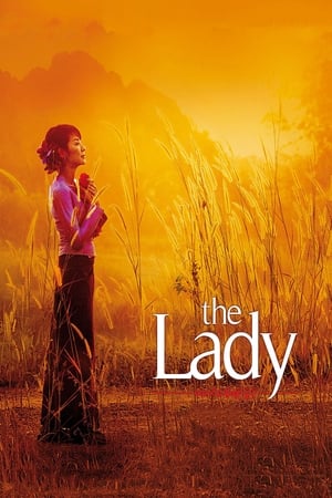 The Lady 2011 Dual Audio Hindi 480p Bluray 400MB - Movierulz