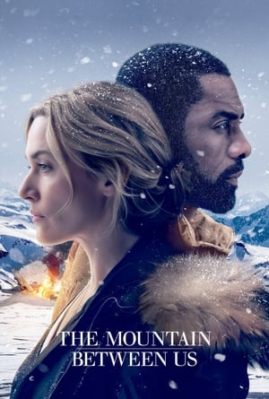 The Mountain Between Us 2017 Dual Audio Hindi Bluray Hevc [180MB] - Movierulz