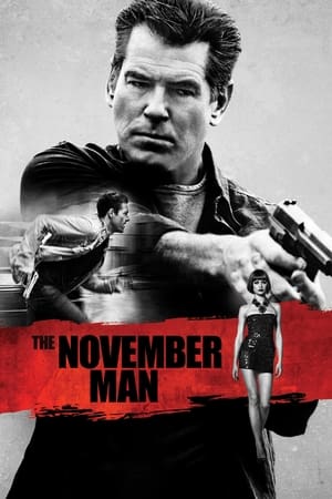 The November Man 2014 Dual Audio [Hindi - English] 480p BluRay 350MB - Movierulz
